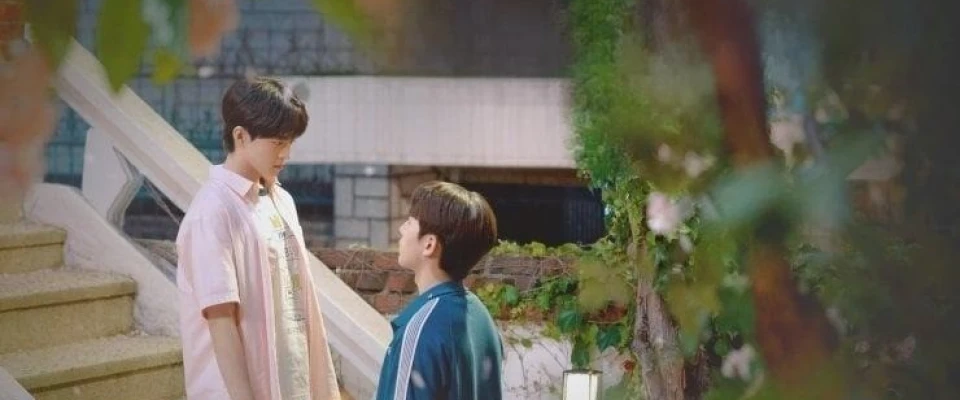 Персиковая ловушка дорама